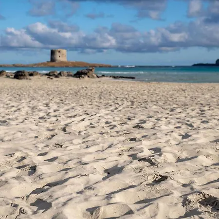 Apartment Charming Sea Sleeps 6in Shared Pool *
